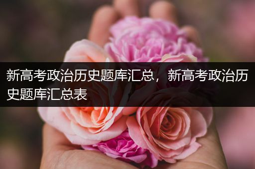 新高考政治历史题库汇总，新高考政治历史题库汇总表
