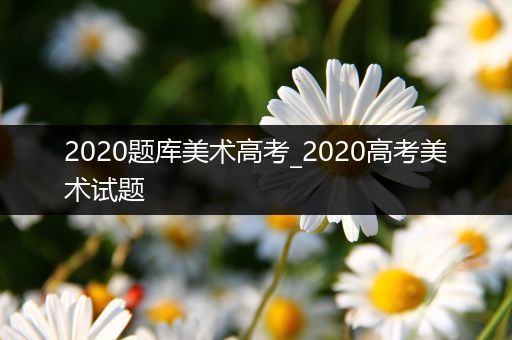 2020题库美术高考_2020高考美术试题