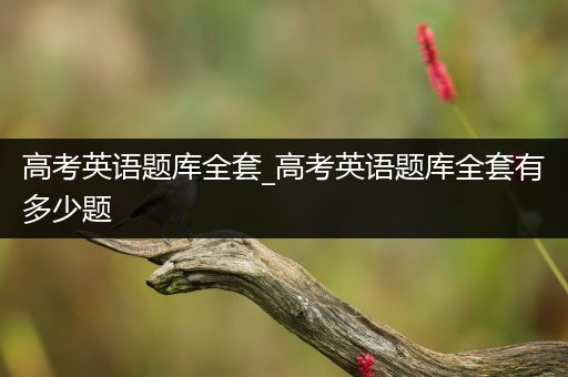 高考英语题库全套_高考英语题库全套有多少题