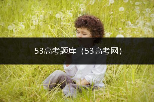 53高考题库（53高考网）