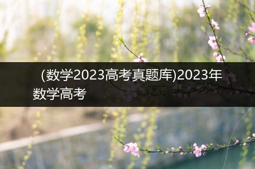 （数学2023高考真题库)2023年数学高考