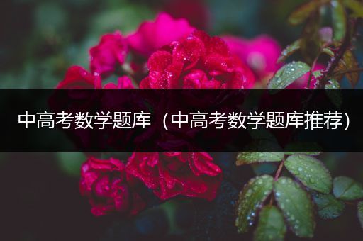 中高考数学题库（中高考数学题库推荐）