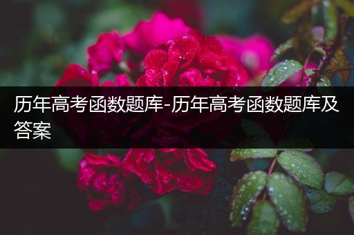 历年高考函数题库-历年高考函数题库及答案