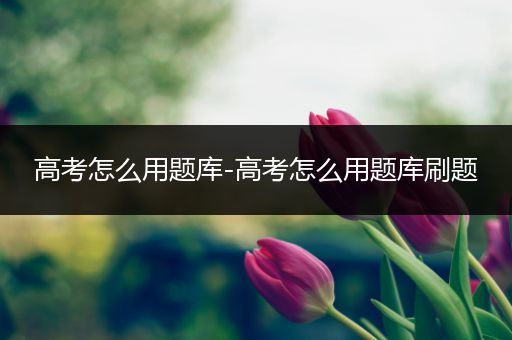 高考怎么用题库-高考怎么用题库刷题