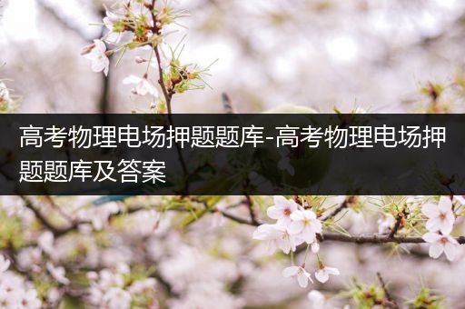 高考物理电场押题题库-高考物理电场押题题库及答案