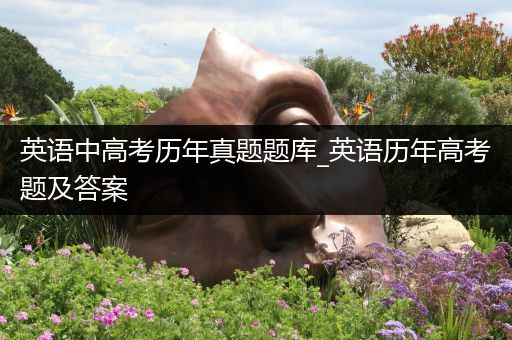 英语中高考历年真题题库_英语历年高考题及答案