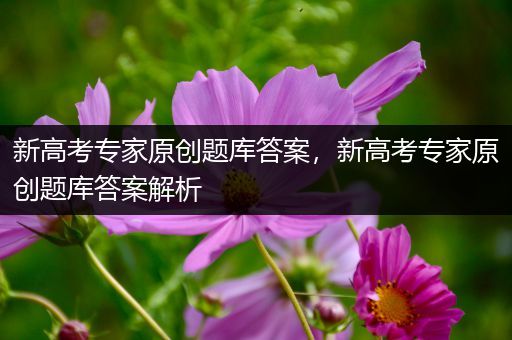 新高考专家原创题库答案，新高考专家原创题库答案解析