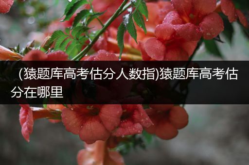 （猿题库高考估分人数指)猿题库高考估分在哪里