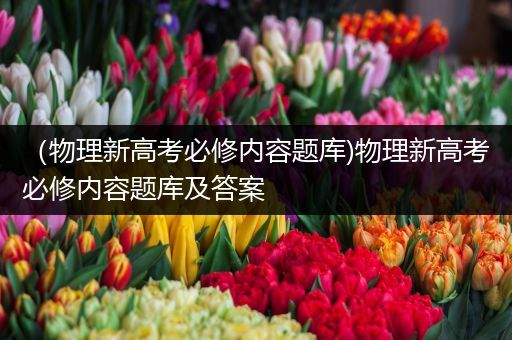 （物理新高考必修内容题库)物理新高考必修内容题库及答案