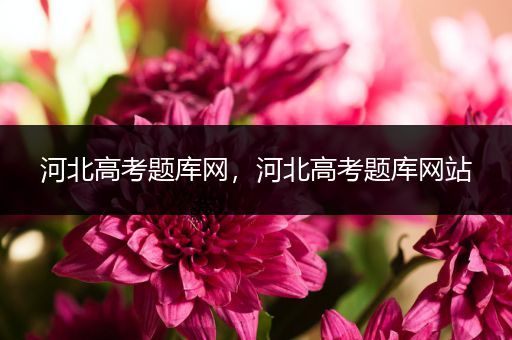 河北高考题库网，河北高考题库网站