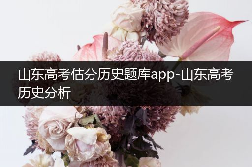 山东高考估分历史题库app-山东高考历史分析