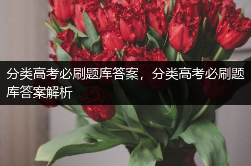 分类高考必刷题库答案，分类高考必刷题库答案解析
