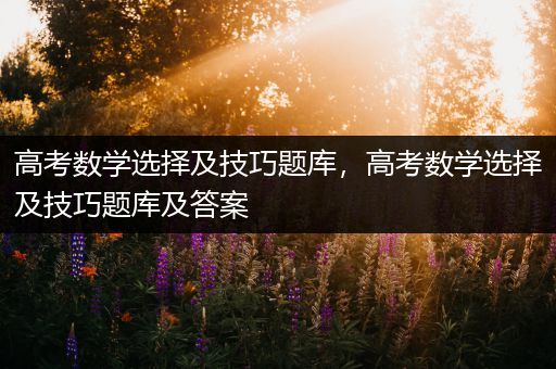 高考数学选择及技巧题库，高考数学选择及技巧题库及答案