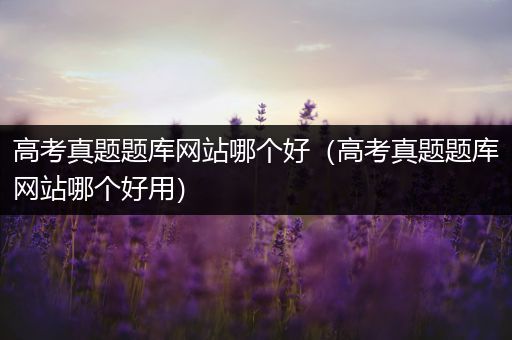 高考真题题库网站哪个好（高考真题题库网站哪个好用）