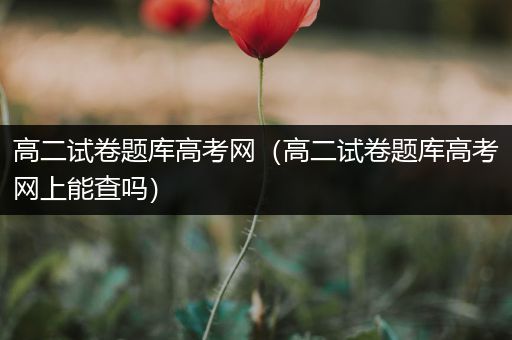高二试卷题库高考网（高二试卷题库高考网上能查吗）