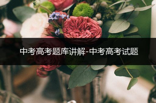 中考高考题库讲解-中考高考试题