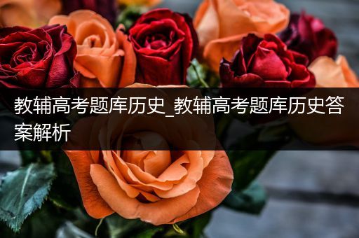 教辅高考题库历史_教辅高考题库历史答案解析