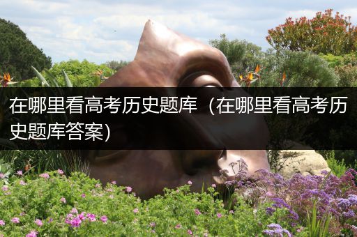 在哪里看高考历史题库（在哪里看高考历史题库答案）