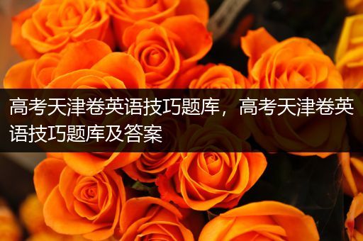 高考天津卷英语技巧题库，高考天津卷英语技巧题库及答案