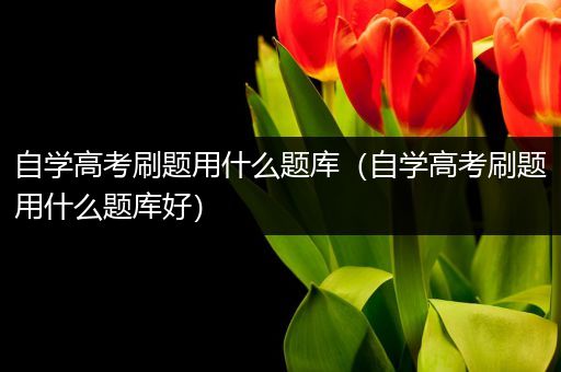 自学高考刷题用什么题库（自学高考刷题用什么题库好）