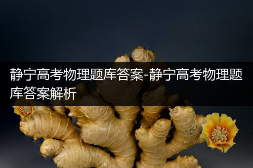 静宁高考物理题库答案-静宁高考物理题库答案解析