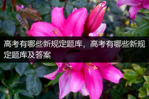 高考有哪些新规定题库，高考有哪些新规定题库及答案