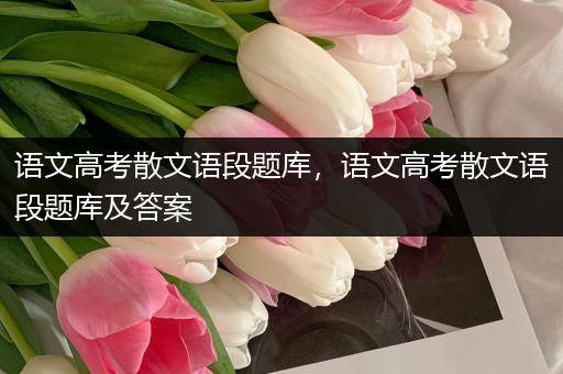 语文高考散文语段题库，语文高考散文语段题库及答案