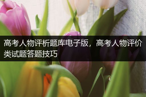 高考人物评析题库电子版，高考人物评价类试题答题技巧