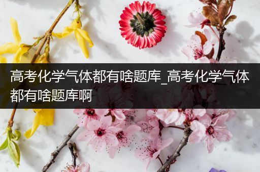 高考化学气体都有啥题库_高考化学气体都有啥题库啊