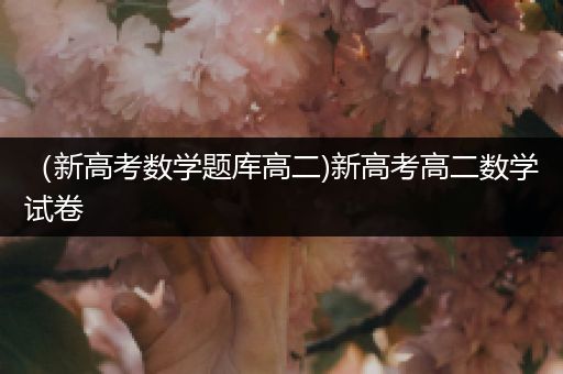 （新高考数学题库高二)新高考高二数学试卷