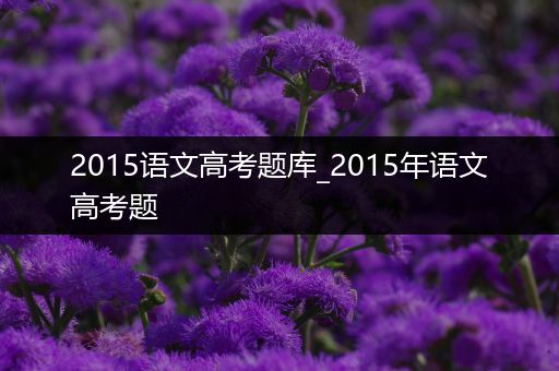 2015语文高考题库_2015年语文高考题