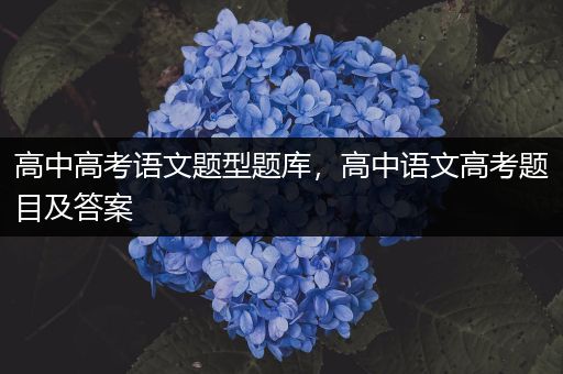 高中高考语文题型题库，高中语文高考题目及答案