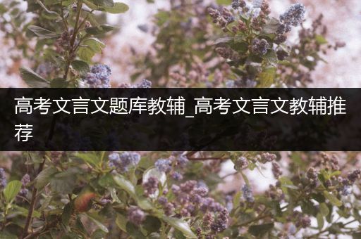高考文言文题库教辅_高考文言文教辅推荐