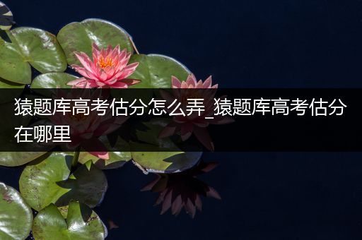 猿题库高考估分怎么弄_猿题库高考估分在哪里