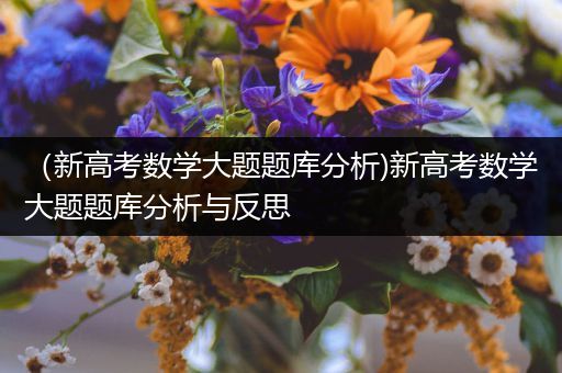 （新高考数学大题题库分析)新高考数学大题题库分析与反思