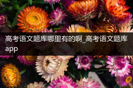 高考语文题库哪里有的啊_高考语文题库app