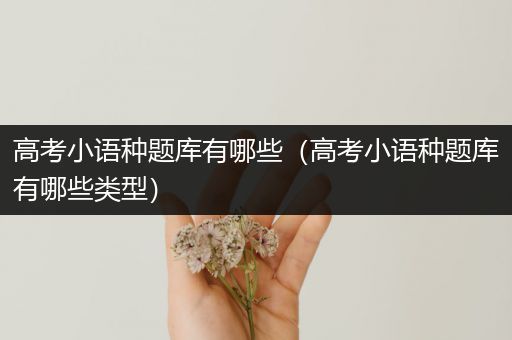 高考小语种题库有哪些（高考小语种题库有哪些类型）