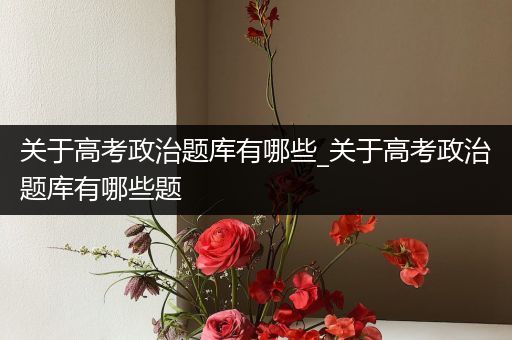 关于高考政治题库有哪些_关于高考政治题库有哪些题