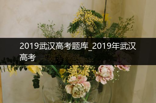 2019武汉高考题库_2019年武汉高考