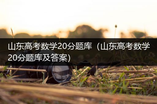 山东高考数学20分题库（山东高考数学20分题库及答案）
