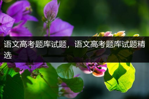 语文高考题库试题，语文高考题库试题精选