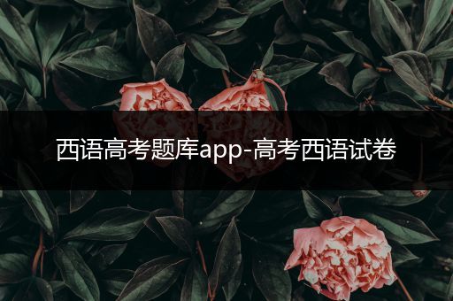 西语高考题库app-高考西语试卷
