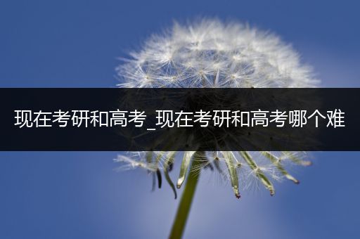 现在考研和高考_现在考研和高考哪个难