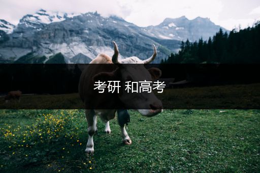 考研 和高考
