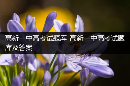 高新一中高考试题库_高新一中高考试题库及答案