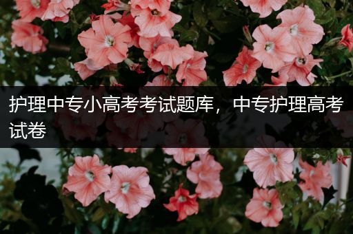 护理中专小高考考试题库，中专护理高考试卷
