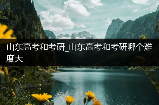 山东高考和考研_山东高考和考研哪个难度大