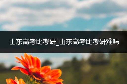 山东高考比考研_山东高考比考研难吗