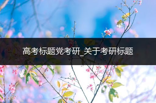 高考标题党考研_关于考研标题