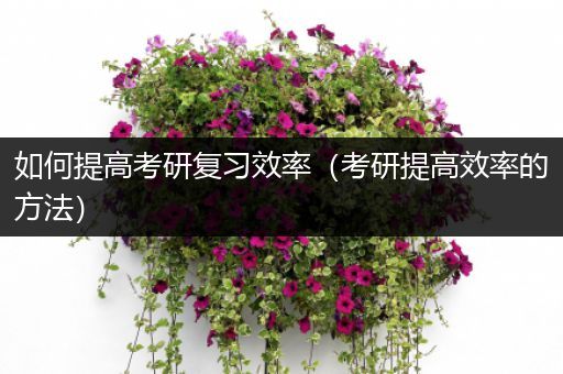 如何提高考研复习效率（考研提高效率的方法）